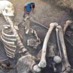 Giant Skeletons