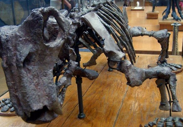 news-hq-lystrosaurus