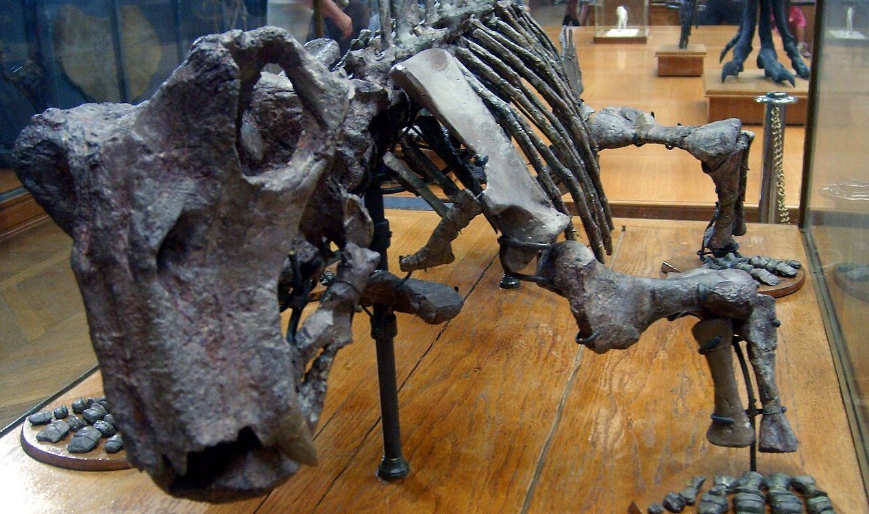 news-hq-lystrosaurus