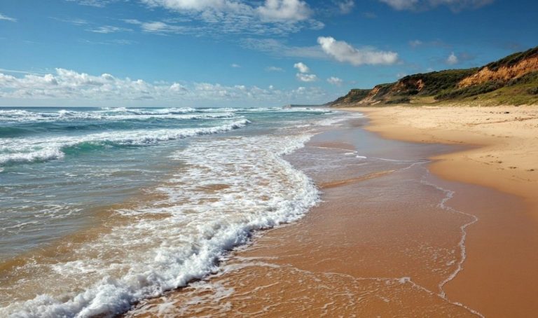 news-hq-sandy-beach-ocean