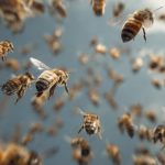 bees-swarm