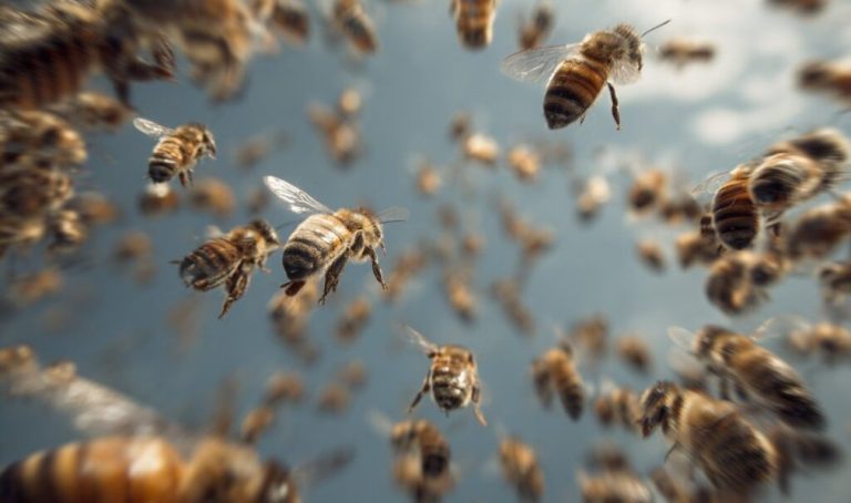 bees-swarm