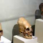 news-hq-paracas-skulls