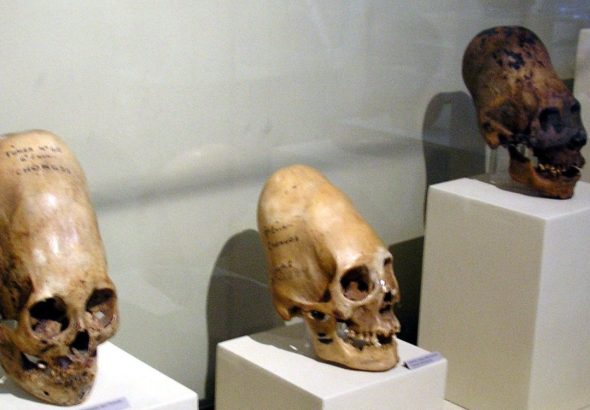 news-hq-paracas-skulls