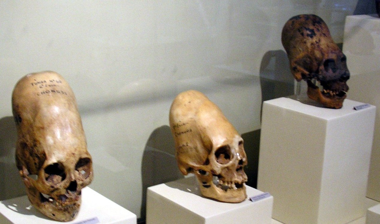 news-hq-paracas-skulls